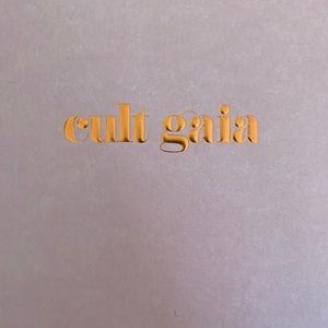 Cult Gaia EOS clutch in slate.